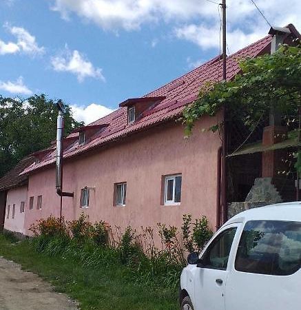 Вилла Casa Boierului Imbri Кырцишоара Экстерьер фото