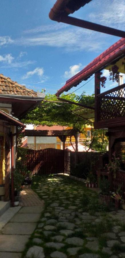 Вилла Casa Boierului Imbri Кырцишоара Экстерьер фото