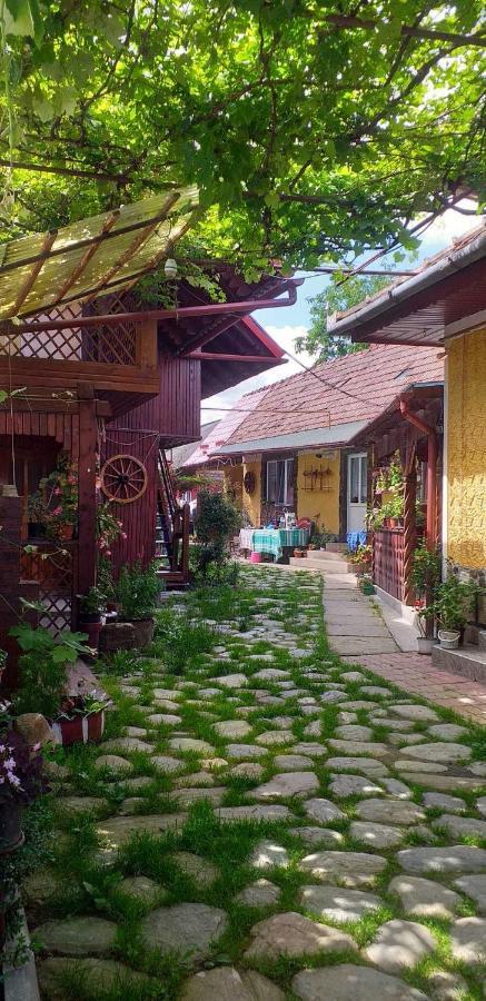 Вилла Casa Boierului Imbri Кырцишоара Экстерьер фото