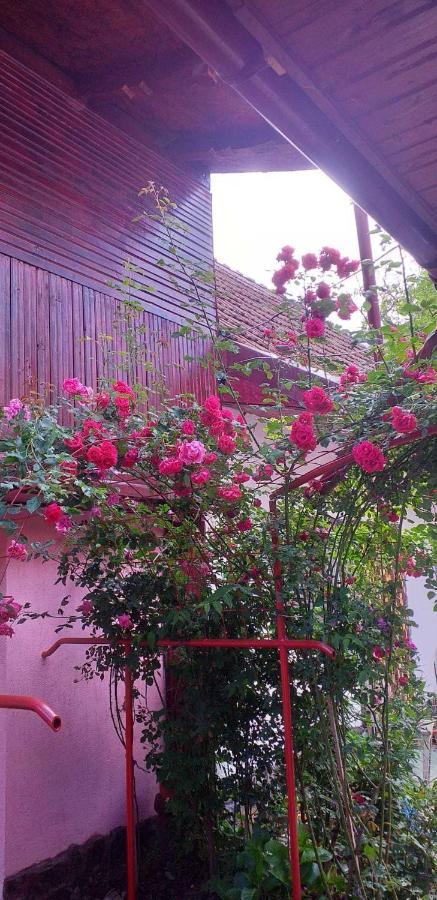 Вилла Casa Boierului Imbri Кырцишоара Экстерьер фото