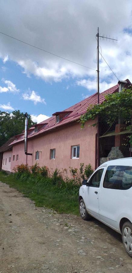 Вилла Casa Boierului Imbri Кырцишоара Экстерьер фото