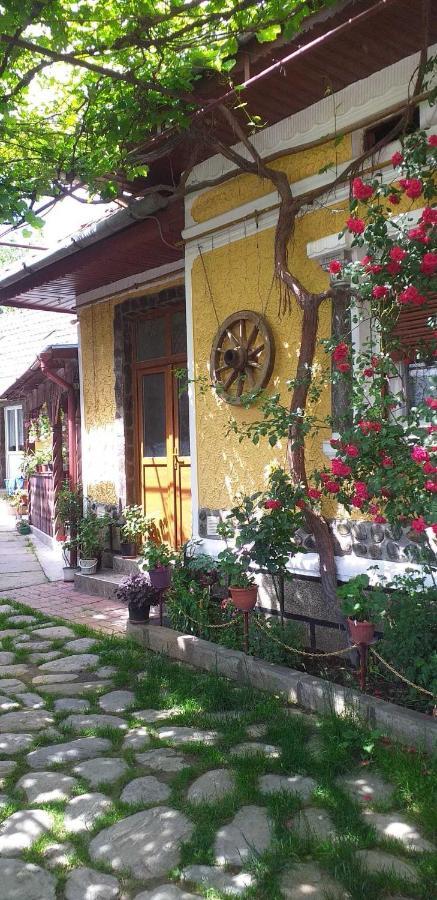 Вилла Casa Boierului Imbri Кырцишоара Экстерьер фото